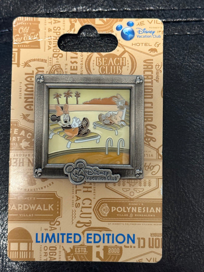Minnie Mouse and Daisy Duck DVC Limited Edition Pin New on Card