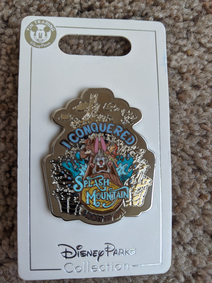I Conquered Splash Mountain Pin New on Card