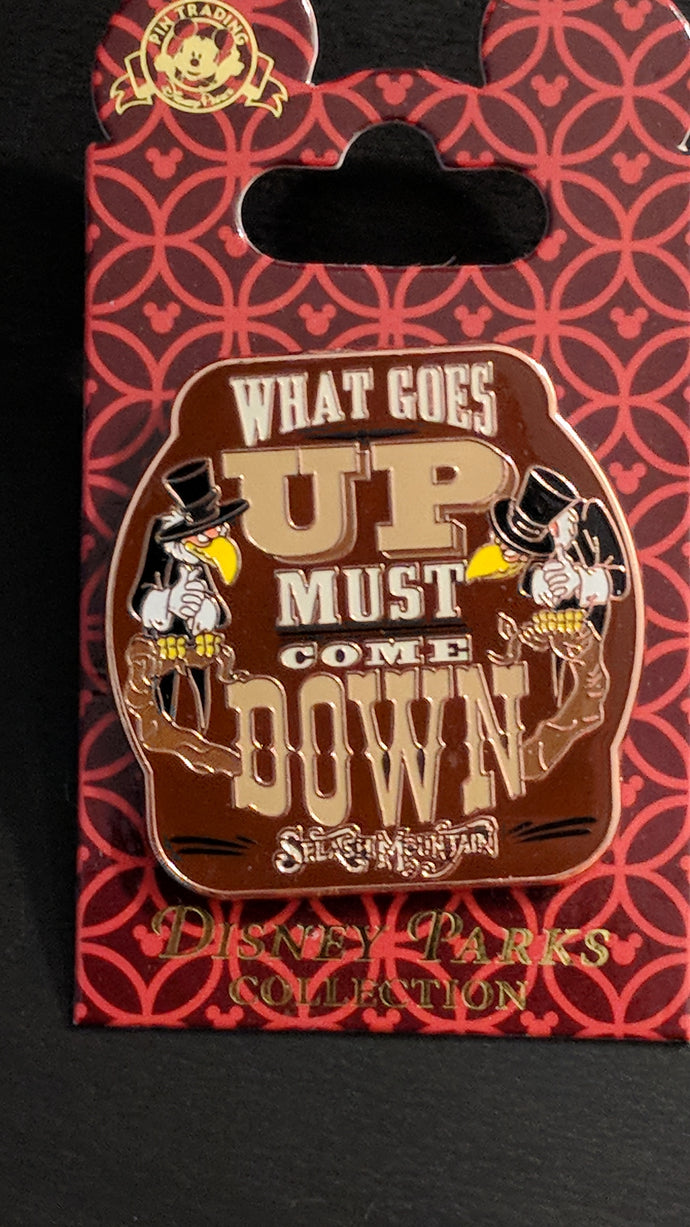 Splash Mountain What Goes Up Must Come Down Pin New on Card
